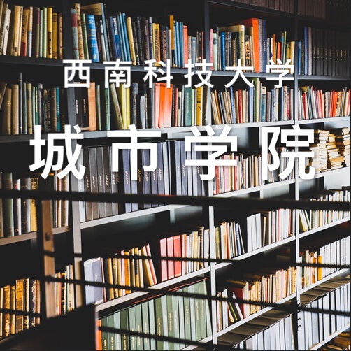 西南城市大学综合管理系统软件